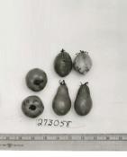 Click for 1 image(s) for this accession. FRUIT